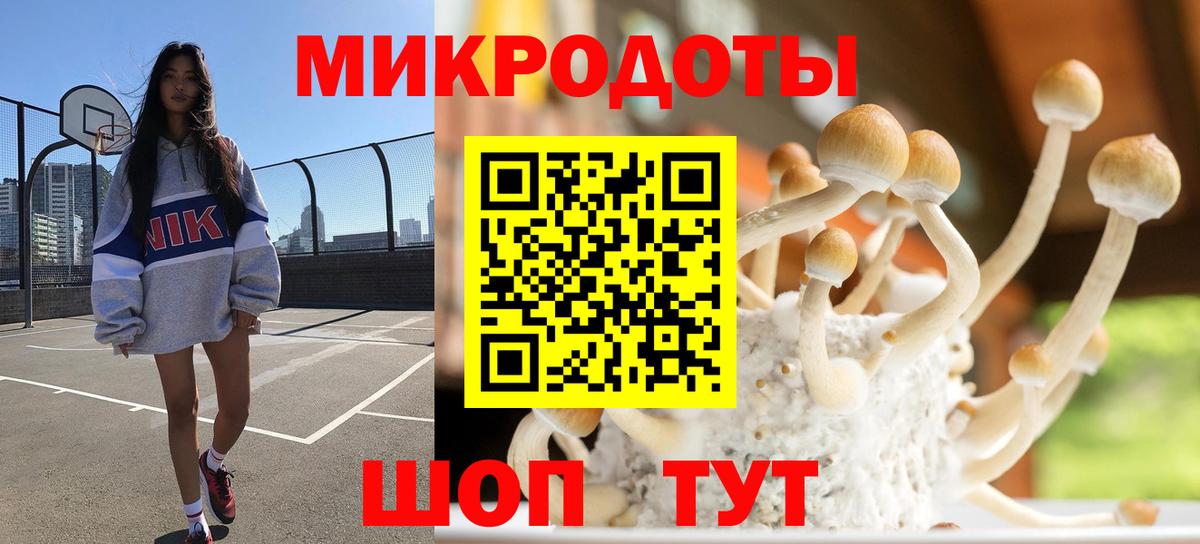 Псилоцибиновые грибы мухоморы  Вход с VPN  продажа наркотиков  Галлюциногенные грибы ЛСД  Приморско-Ахтарск 